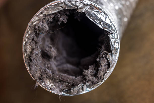Best Affordable Duct Cleaning Services  in Archdale, NC