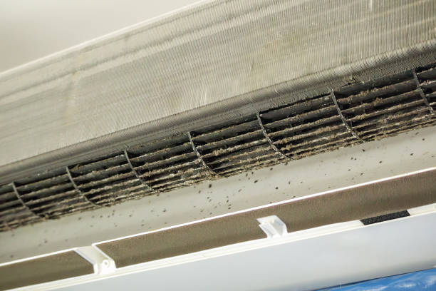 Best HVAC Air Duct Cleaning  in Archdale, NC